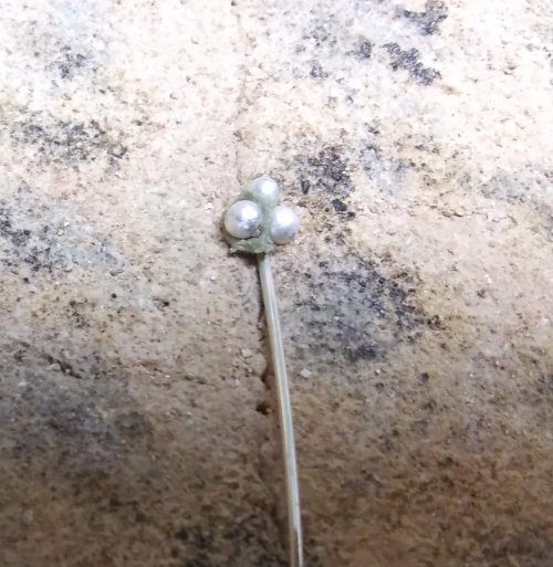 Judy Larson's Bali Style Earrings - , Contemporary Wire Jewelry, Stamping, Stamps, Butane Torch, Soldering, Solder, Drilling, Drill, Push a ball into the solder on either side of the wire